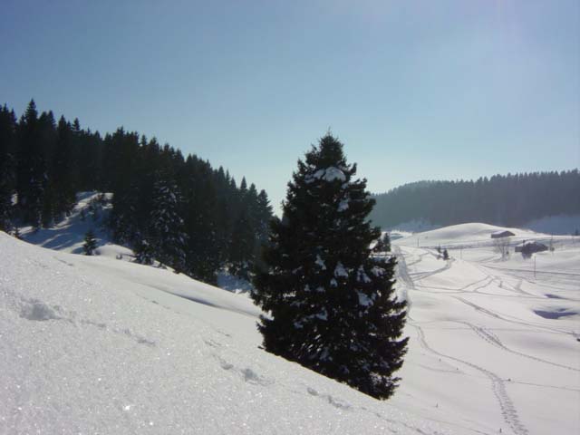 DSC00779