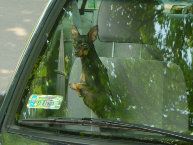 DSC01202