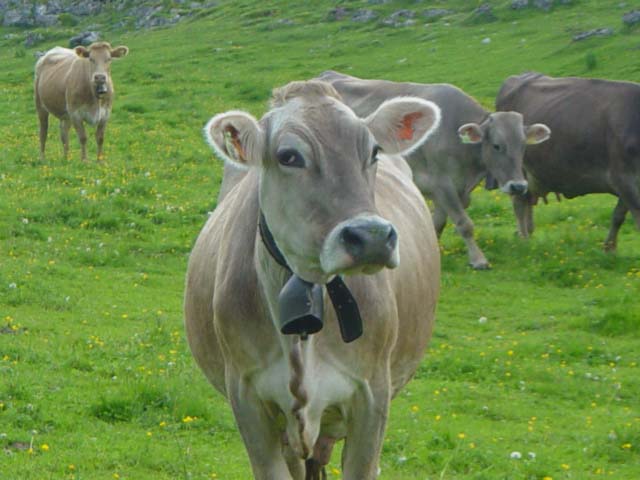 DSC01260