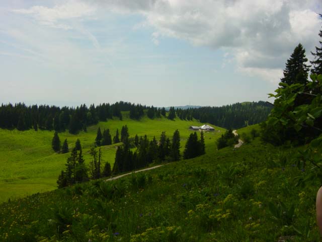 DSC01281