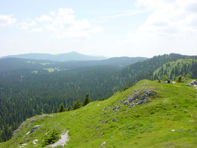 DSC01287