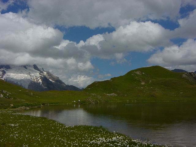 lac