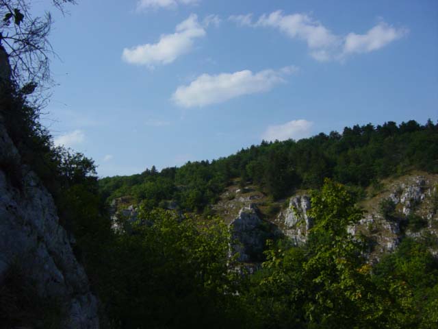 vue3