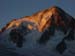 chardonnet